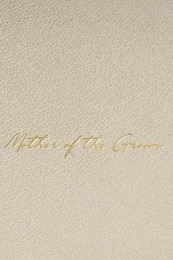 Goldfarbene Pouch